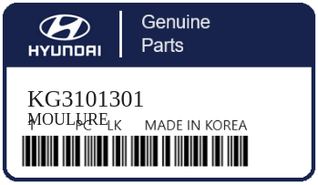 HYUNDAI - KG3101301 MOULURE